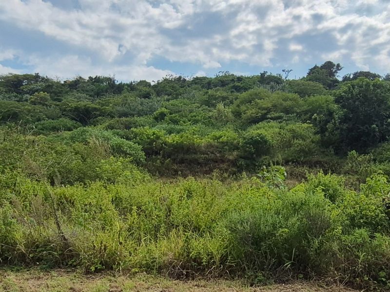 Prime Land for Sale in Desainagar  - Photo 5