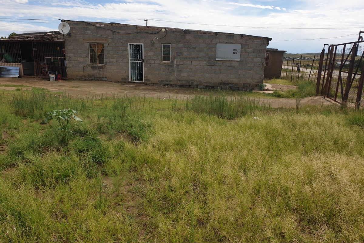Rear view of a single-story concrete block house featuring a metal roof, security gate, and an expansive, unmaintained yard area.