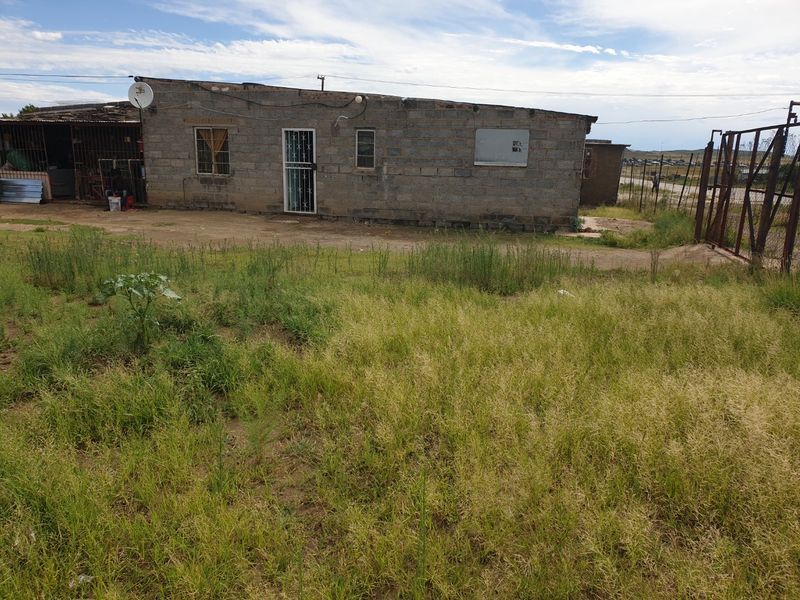 Rear view of a single-story concrete block house featuring a metal roof, security gate, and an expansive, unmaintained yard area.