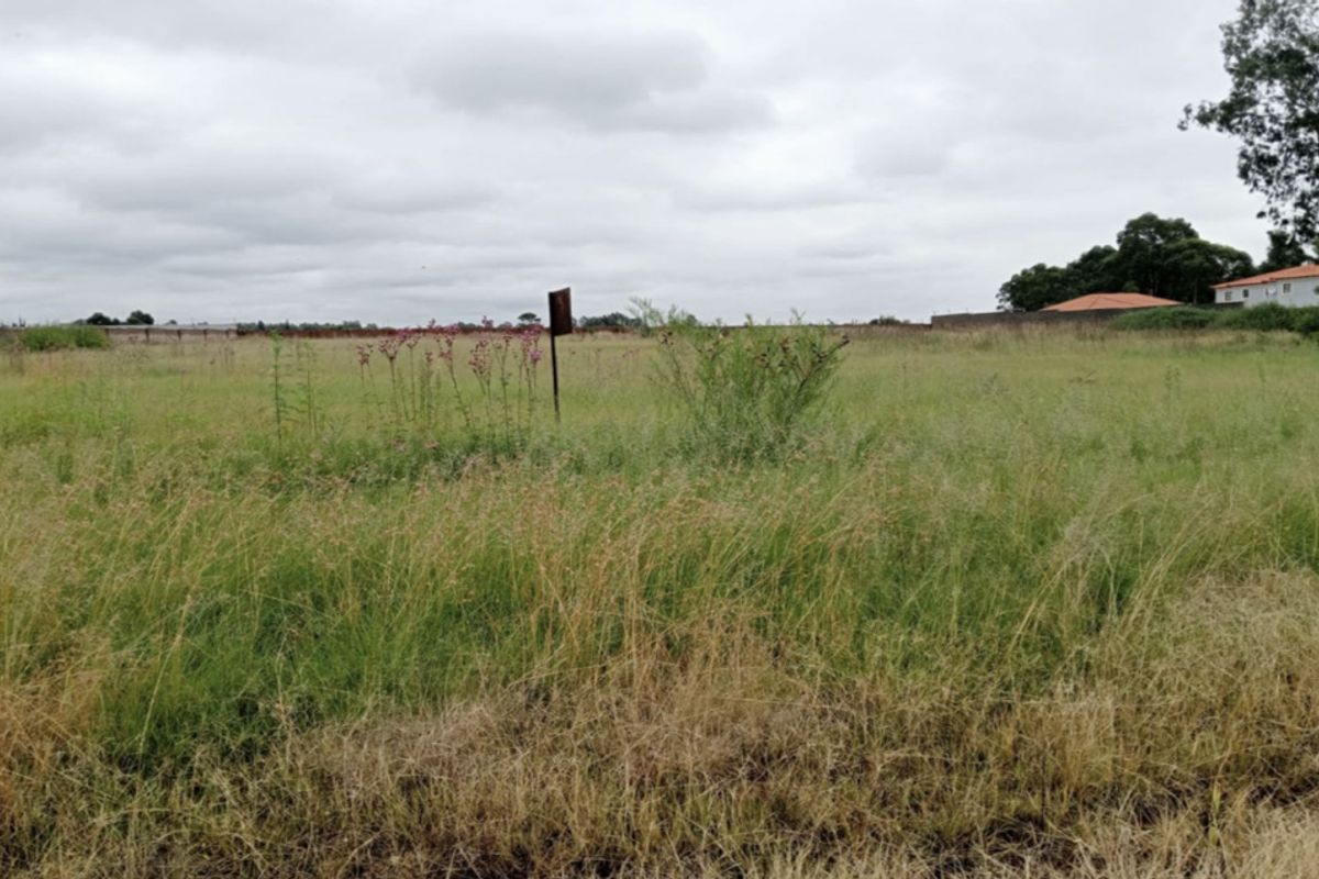 A vacant residential plot of land featuring open grass and a perimeter wall, offering a blank canvas for future development.