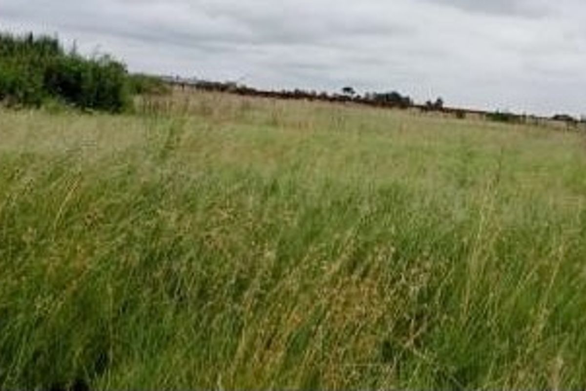 A view of an undeveloped residential plot featuring open grassland and natural vegetation.