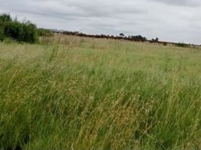 A view of an undeveloped residential plot featuring open grassland and natural vegetation.