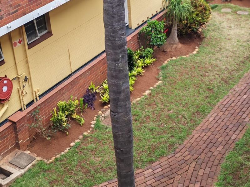 Affordable 2-Bedroom Apartment in a Secure, Well-Maintained Complex - Photo 10