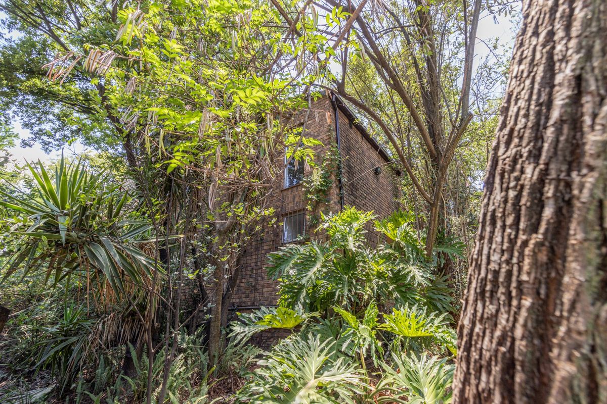 Stunning Family Home with Office Suite in secure Bryanston / Sandton area - Photo 4