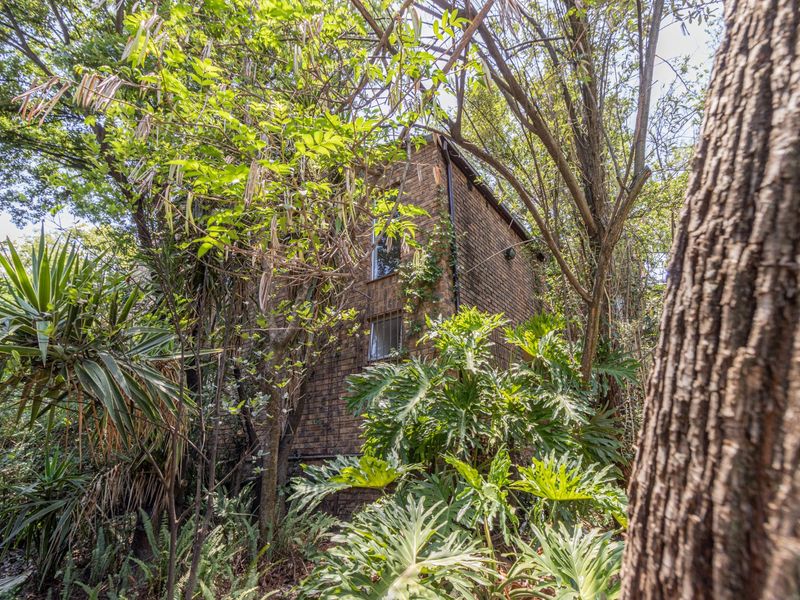 Stunning Family Home with Office Suite in secure Bryanston / Sandton area - Photo 4