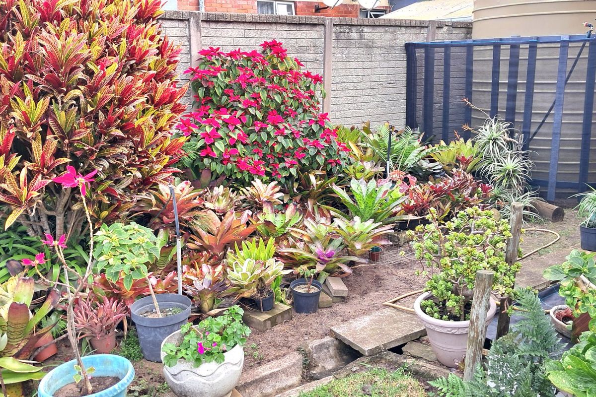 Sun, Sea & Serenity – Reduced!! Immaculate home with flat and a Jacuzzi in West Bank, Close to Schools, shops and West Bank Golf Course. - Photo 4