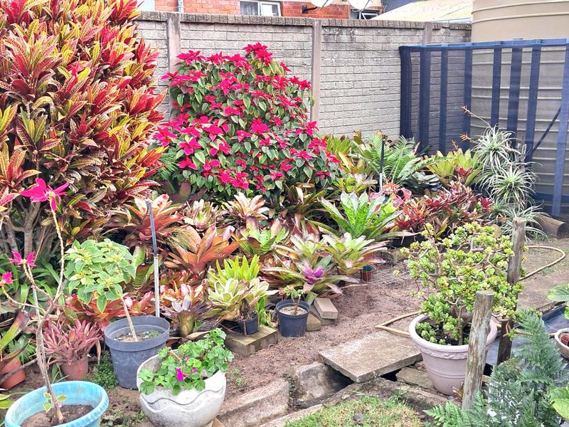 Sun, Sea & Serenity – Reduced!! Immaculate home with flat and a Jacuzzi in West Bank, Close to Schools, shops and West Bank Golf Course. - Photo 4