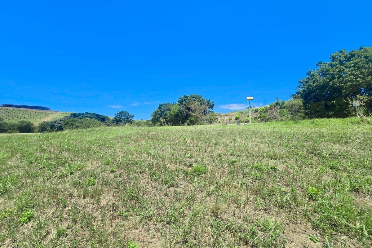 A Rare Farm Opportunity in Fairview Estates – Country Living Meets Coastal Convenience - Photo 4