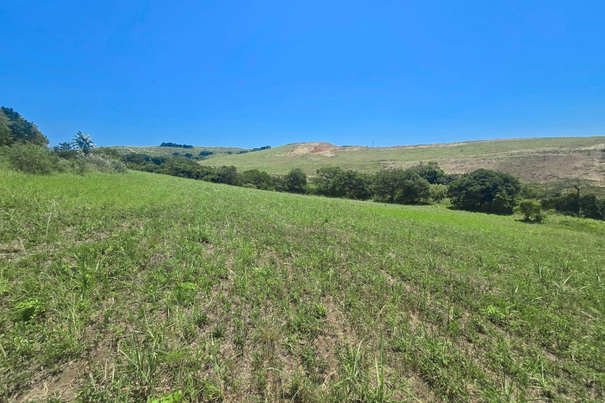 A Rare Farm Opportunity in Fairview Estates – Country Living Meets Coastal Convenience - Photo 2