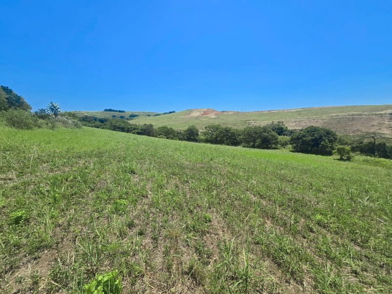 A Rare Farm Opportunity in Fairview Estates – Country Living Meets Coastal Convenience - Photo 2