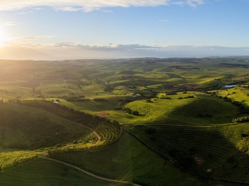 A Rare Farm Opportunity in Fairview Estates – Country Living Meets Coastal Convenience - Photo 7