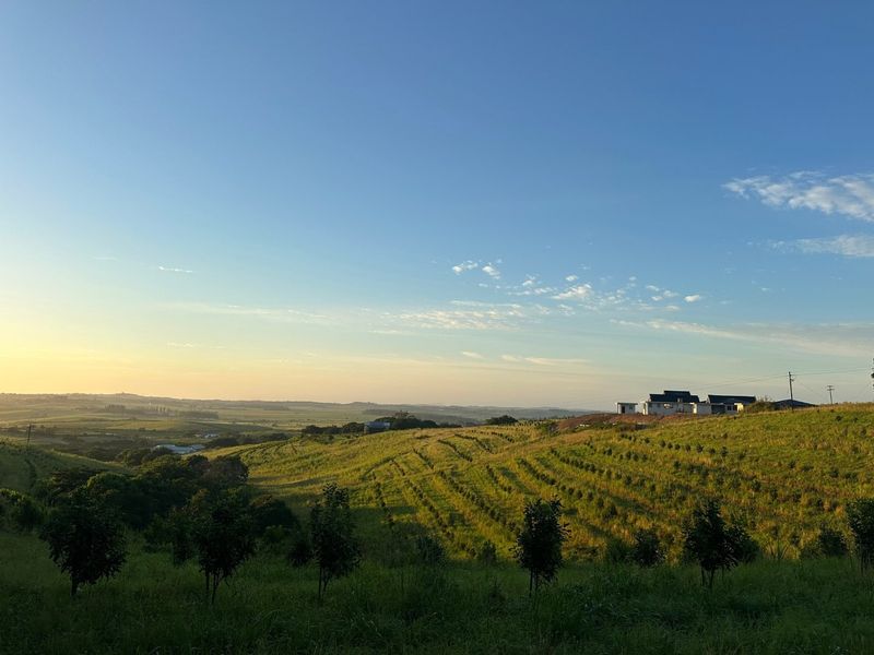 A Rare Farm Opportunity in Fairview Estates – Country Living Meets Coastal Convenience - Photo 6