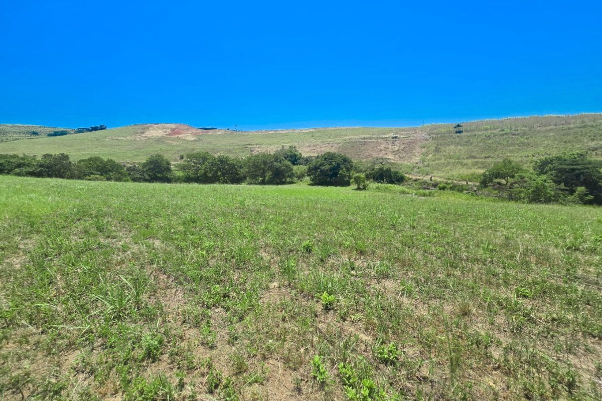 A Rare Farm Opportunity in Fairview Estates – Country Living Meets Coastal Convenience - Photo 3