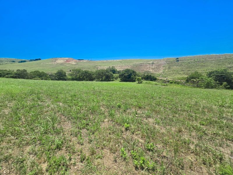 A Rare Farm Opportunity in Fairview Estates – Country Living Meets Coastal Convenience - Photo 3