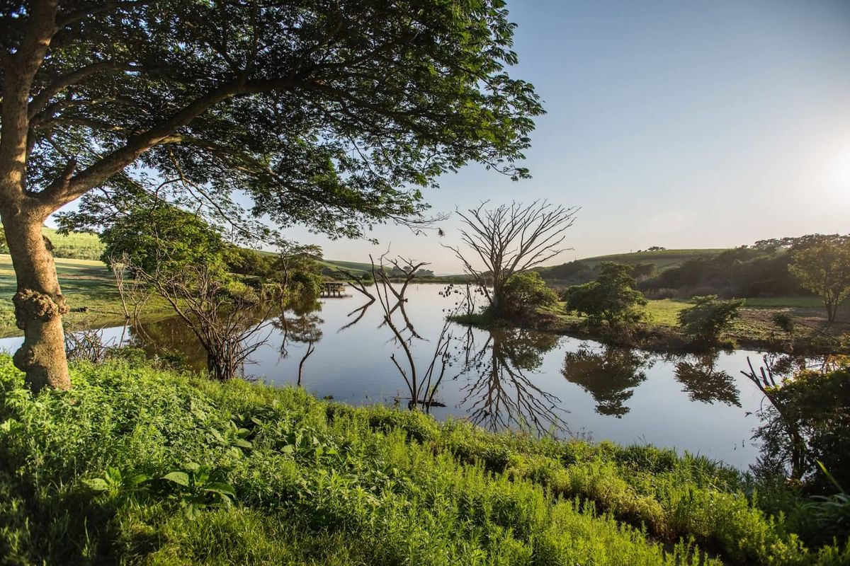 A Rare Farm Opportunity in Fairview Estates – Country Living Meets Coastal Convenience - Photo 5