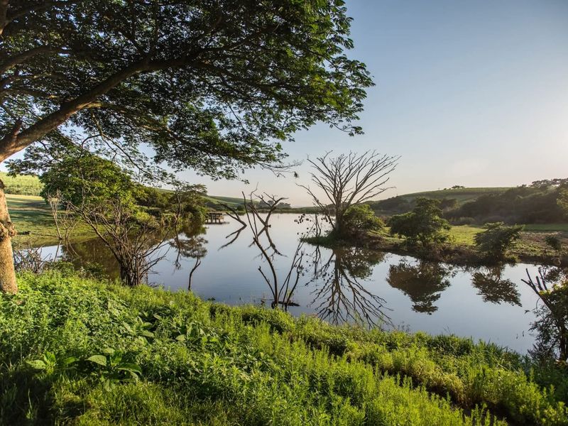 A Rare Farm Opportunity in Fairview Estates – Country Living Meets Coastal Convenience - Photo 5