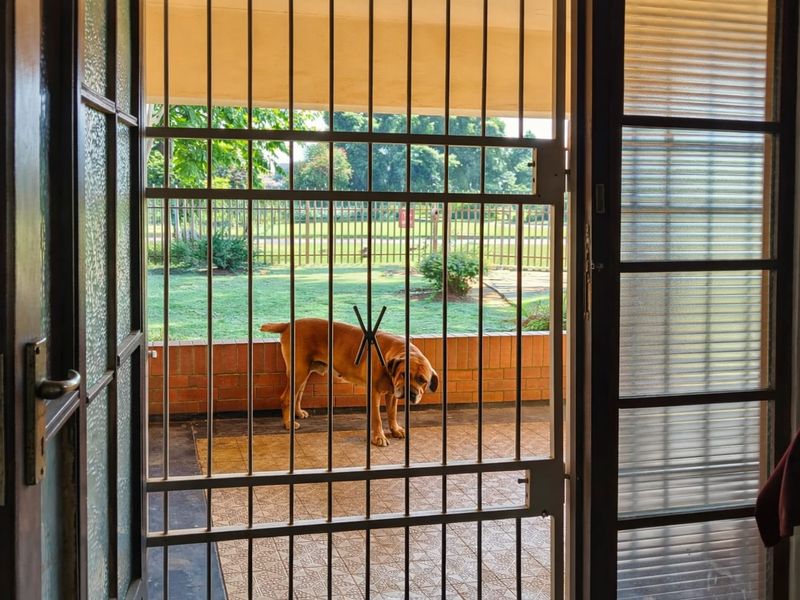 Spacious family home with large yard - Photo 4