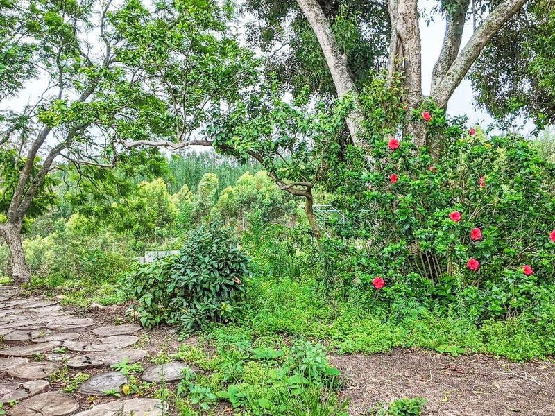 8ha Off the Grid Lifestyle property In Elandskraal, Sedgefield - Photo 7