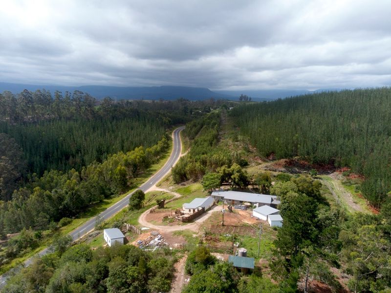 8ha Off the Grid Lifestyle property In Elandskraal, Sedgefield - Photo 2