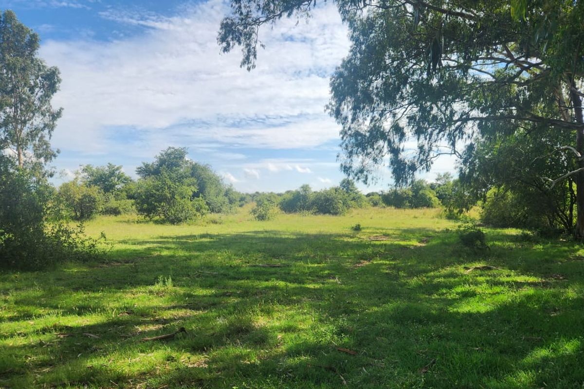 Prime 526.59 Hectare Livestock Farm in Lichtenburg Rural – Fully Equipped and Solar Powered - Photo 4