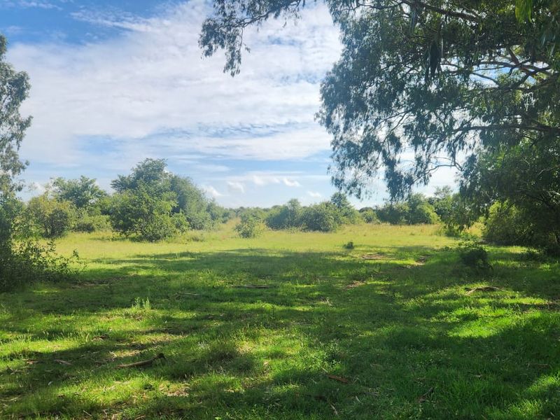 Prime 526.59 Hectare Livestock Farm in Lichtenburg Rural – Fully Equipped and Solar Powered - Photo 4