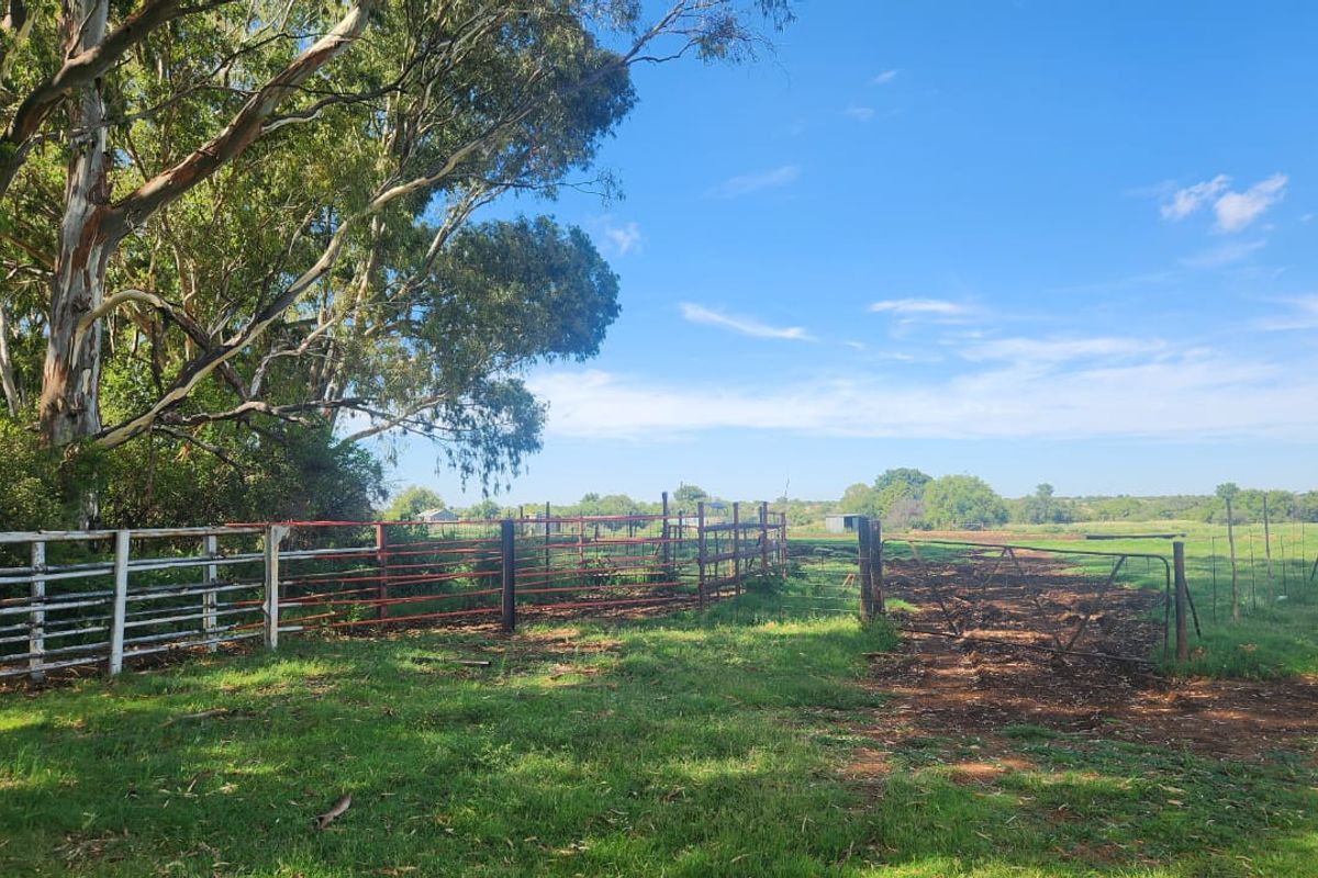 Prime 526.59 Hectare Livestock Farm in Lichtenburg Rural – Fully Equipped and Solar Powered - Photo 2