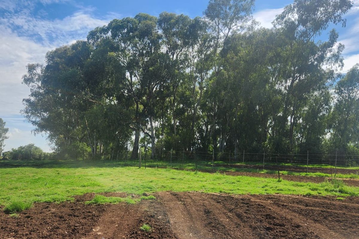 Prime 526.59 Hectare Livestock Farm in Lichtenburg Rural – Fully Equipped and Solar Powered - Photo 5