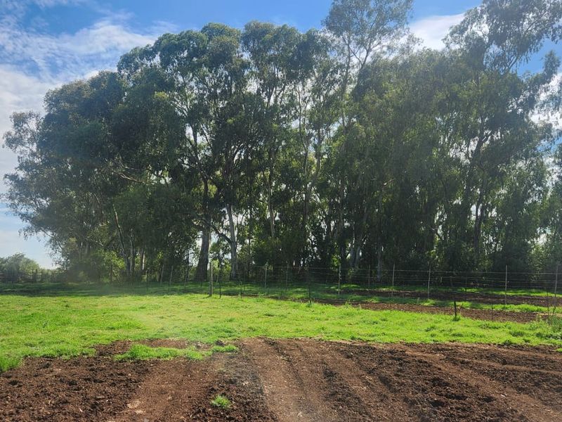 Prime 526.59 Hectare Livestock Farm in Lichtenburg Rural – Fully Equipped and Solar Powered - Photo 5