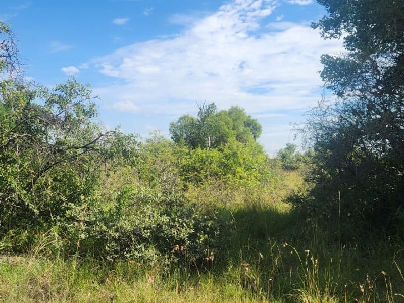 Prime 526.59 Hectare Livestock Farm in Lichtenburg Rural – Fully Equipped and Solar Powered - Photo 10