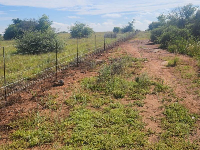 Prime 526.59 Hectare Livestock Farm in Lichtenburg Rural – Fully Equipped and Solar Powered - Photo 8