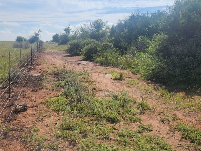 Prime 526.59 Hectare Livestock Farm in Lichtenburg Rural – Fully Equipped and Solar Powered - Photo 7