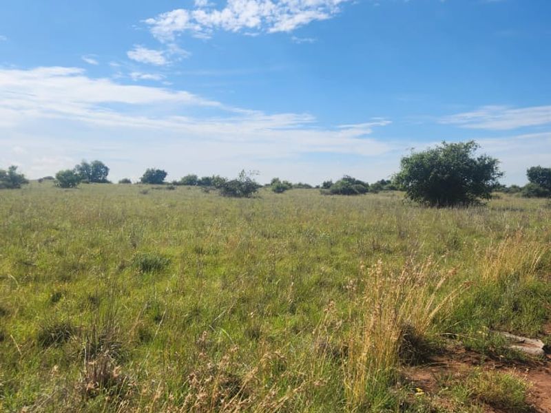 Prime 526.59 Hectare Livestock Farm in Lichtenburg Rural – Fully Equipped and Solar Powered - Photo 9