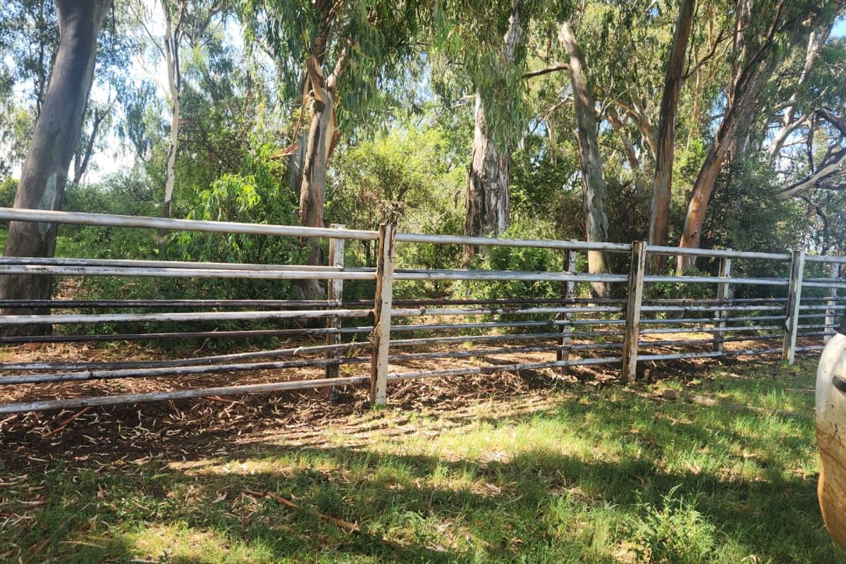 Prime 526.59 Hectare Livestock Farm in Lichtenburg Rural – Fully Equipped and Solar Powered - Photo 3