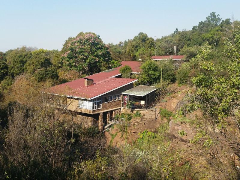 36-Hectare Riverfront Paradise – A Rare Gem in Nature’s Embrace - Photo 5