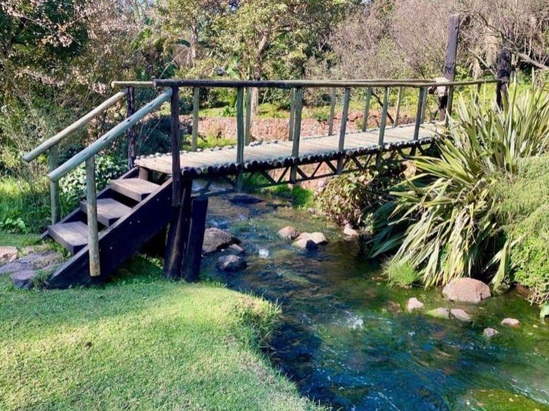 36-Hectare Riverfront Paradise – A Rare Gem in Nature’s Embrace - Photo 6