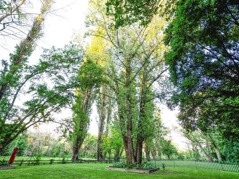 The Ultimate Entertainer’s Dream on the River in Henley on Klip! - Photo 6