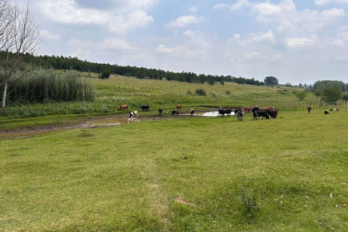 Elegant Family Home with Generous Living Spaces - Photo 4