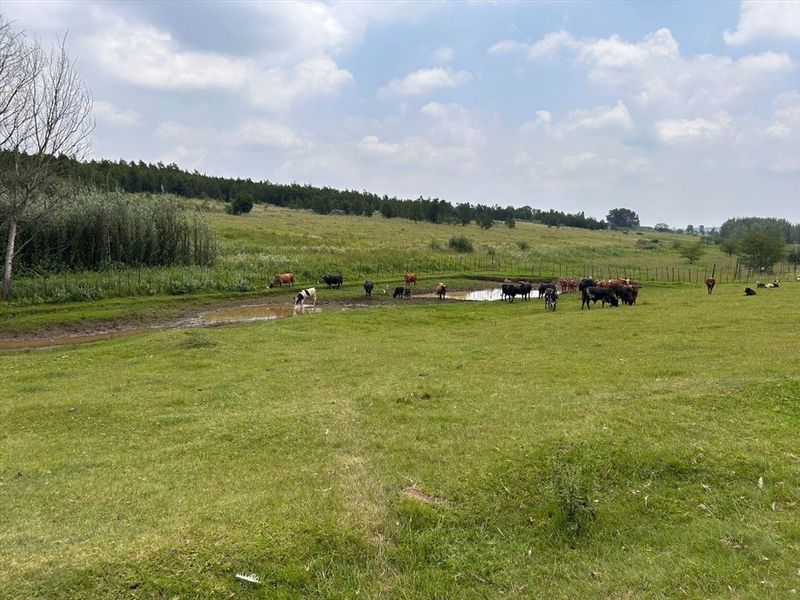 Elegant Family Home with Generous Living Spaces - Photo 4