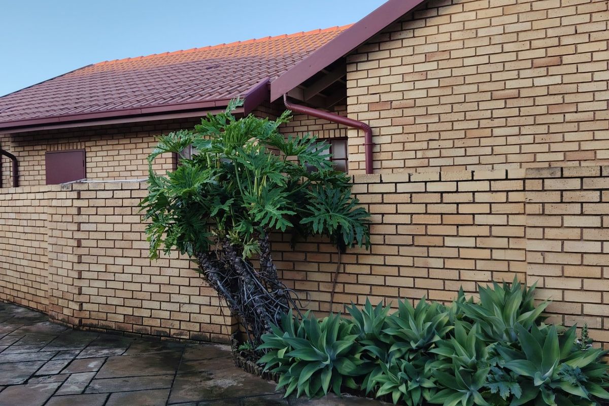 Beautiful 3 Bedroom Family Home in Wierdaglen Estate, Centurion - Photo 4