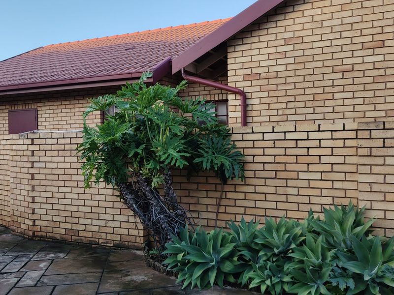 Beautiful 3 Bedroom Family Home in Wierdaglen Estate, Centurion - Photo 4