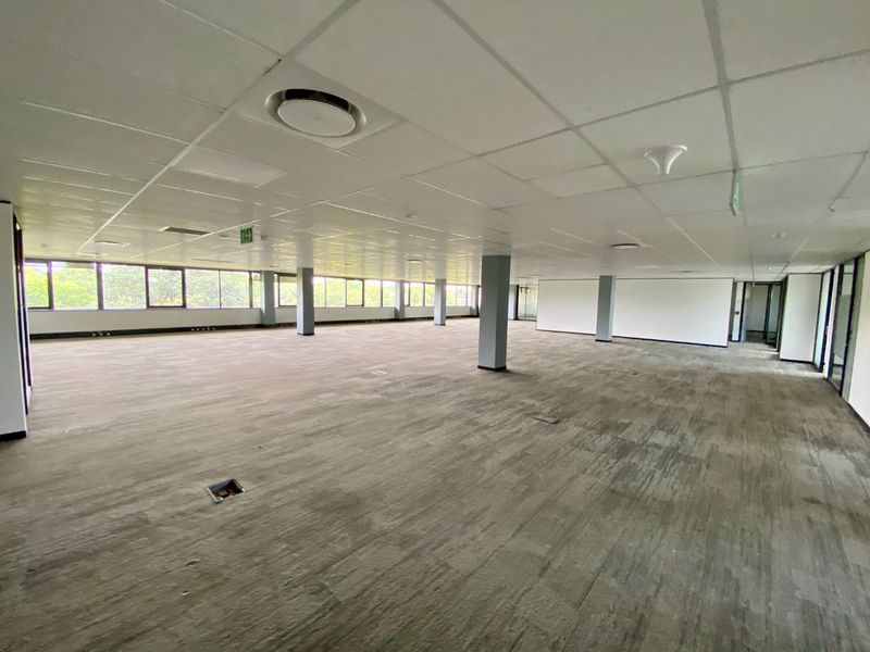 P-Grade Office Space Available In Irene - Photo 10