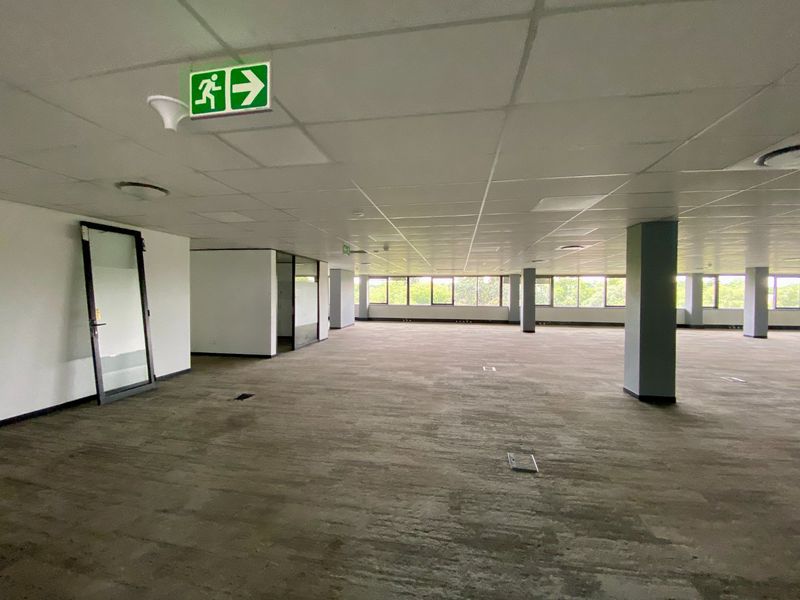 P-Grade Office Space Available In Irene - Photo 8