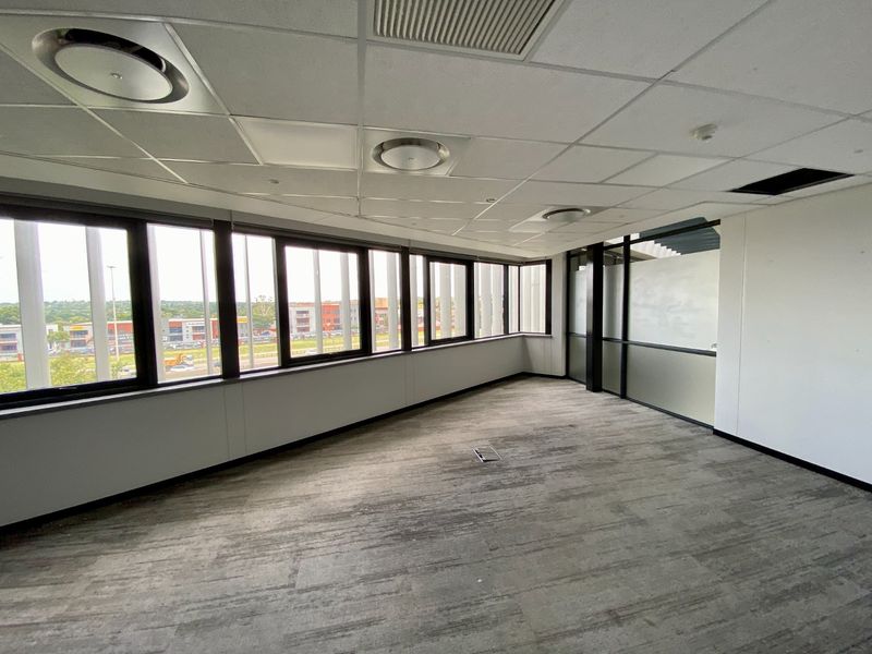 A vacant commercial office space featuring large windows, carpeted flooring, a suspended ceiling with recessed lighting, and a glass partition wall.
