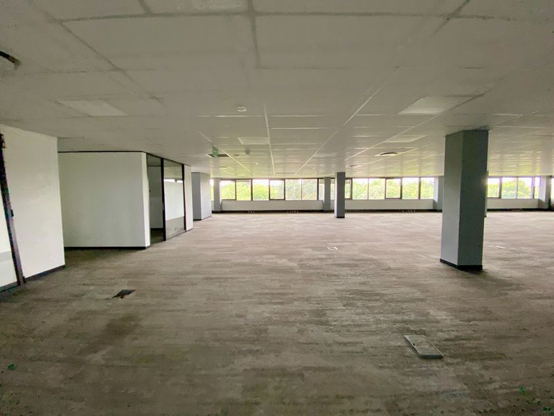 Spacious open-plan commercial office area featuring a suspended ceiling, large windows providing natural light, and carpeted flooring throughout.