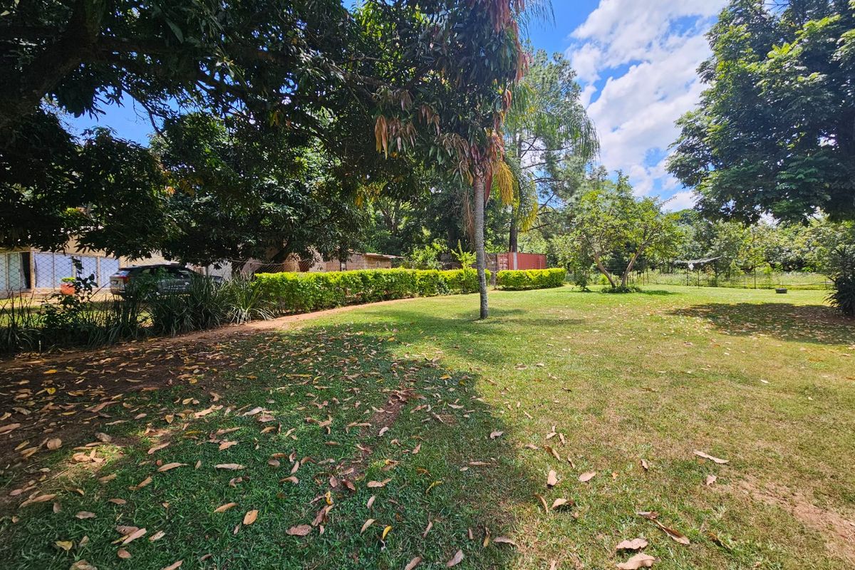 Income Earning Small Holding, Multi Dwelling 5 Houses - Photo 3