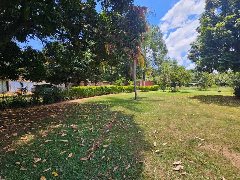 Income Earning Small Holding, Multi Dwelling 5 Houses - Photo 3