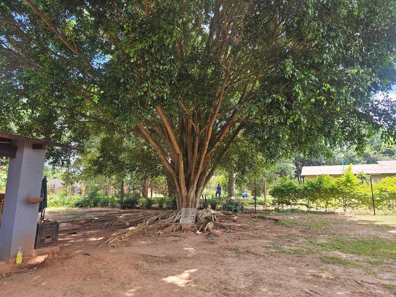 Income Earning Small Holding, Multi Dwelling 5 Houses - Photo 10