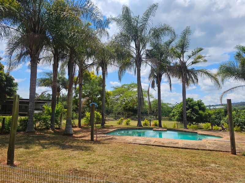 Income Earning Small Holding, Multi Dwelling 5 Houses - Photo 9