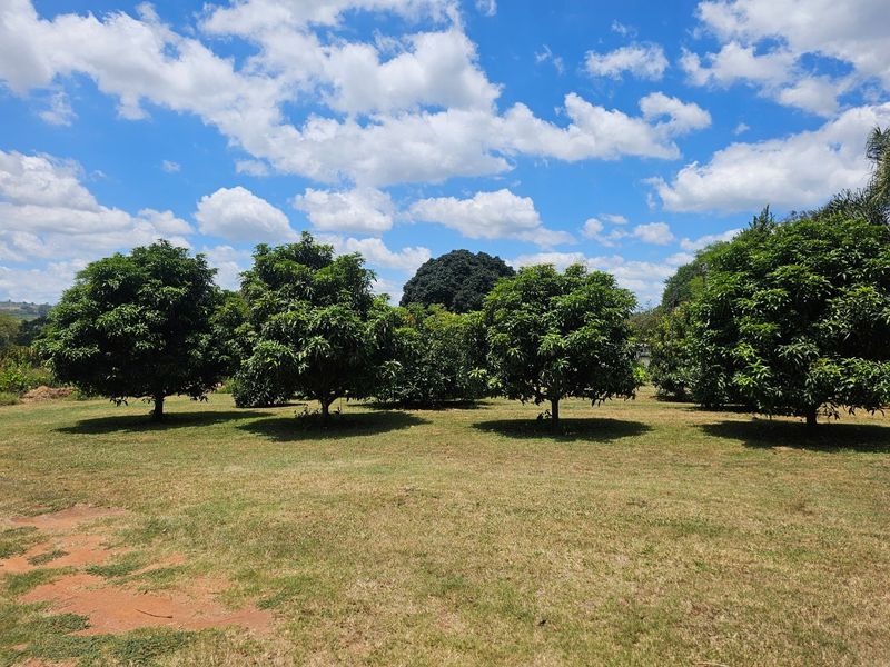 Income Earning Small Holding, Multi Dwelling 5 Houses - Photo 8