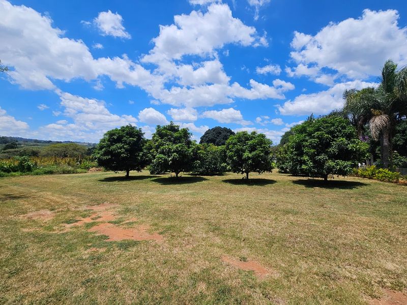 Income Earning Small Holding, Multi Dwelling 5 Houses - Photo 7